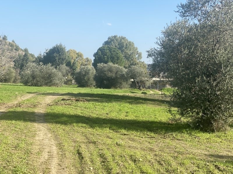 (For Sale) Land Residential || Nicosia/Sia - 2.007 Sq.m, 90.000€ 