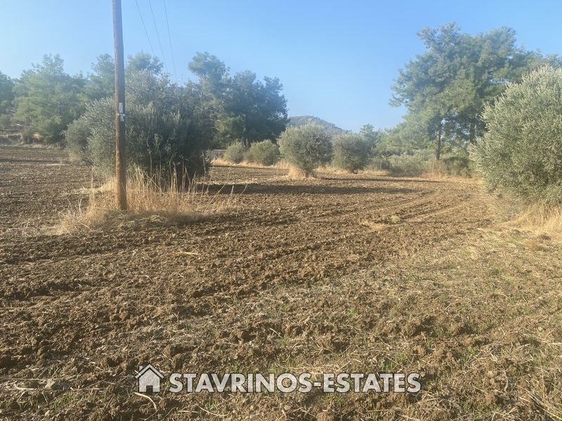 (For Sale) Land Agricultural Land  || Nicosia/Sia - 7.024 Sq.m, 110.000€ 