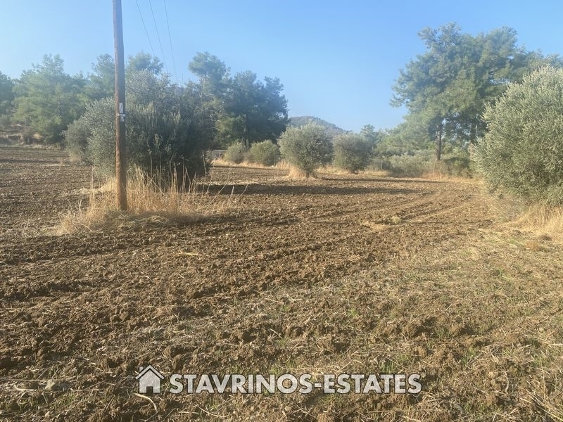 (Προς Πώληση) Αξιοποιήσιμη Γη Αγροτεμάχιο || Λευκωσία/Σιά - 7.024 τ.μ, 110.000€ 