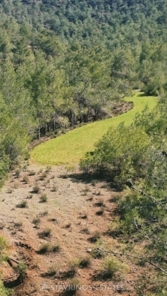 (For Sale) Land Agricultural Land  || Nicosia/Klirou - 2.676 Sq.m, 32.000€ 