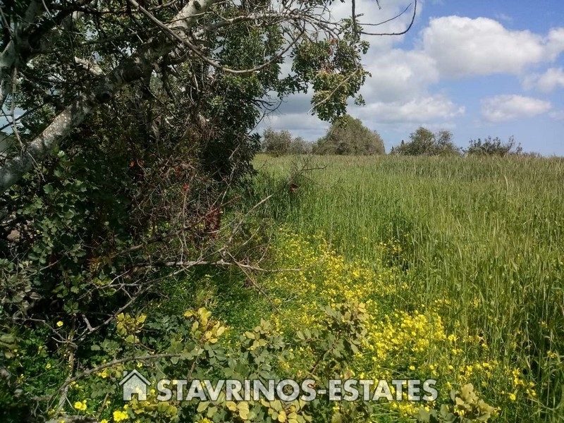 (For Sale) Land Residential || Larnaka/Mazotos - 6.689 Sq.m, 350.000€ 