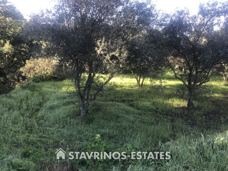 (For Sale) Land Residential || Larnaka/Lageia - 1.004 Sq.m, 45.000€ 
